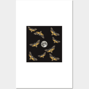 Death's Head Moth and Moons Black Posters and Art